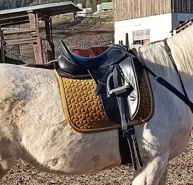 Dressursattel, Trieb, Stefanie Bammer , Dressage Saddle, St. Stefan ob Leoben