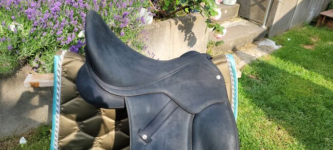 Dressursattel Wintec Isabell Werth HART 18 Zoll, Wintec Isabell Werth HART, Ulrike, Dressage Saddle, Hagen, Image 3