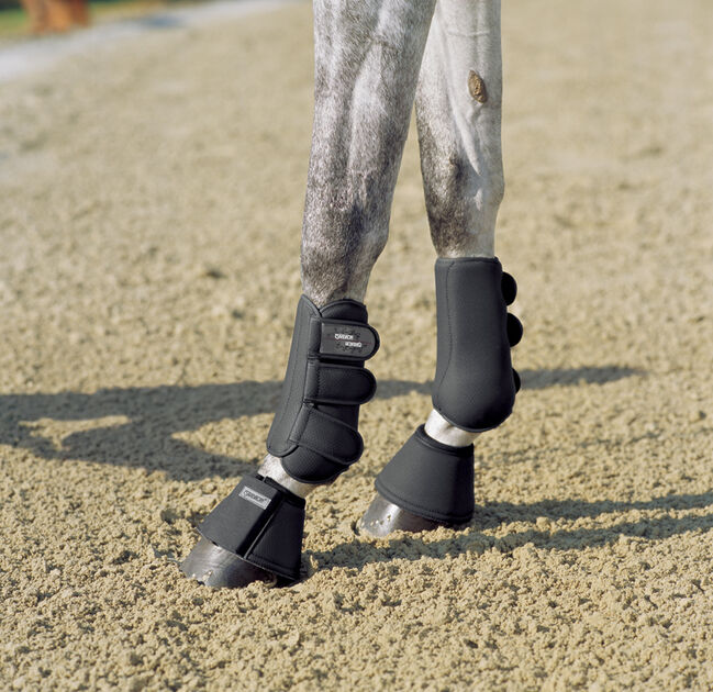 Dressurgamaschen vorne / hinten, Eskadron  Allround, Annette , Tendon Boots, Schülp bei Nortorf