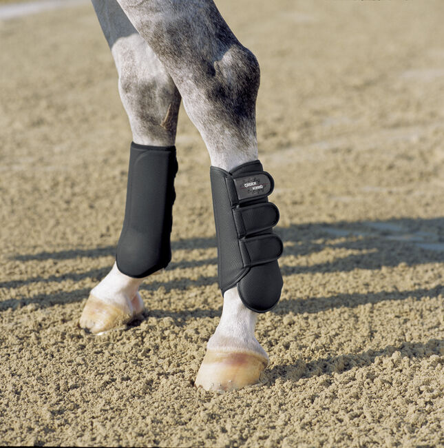 Dressurgamaschen vorne / hinten, Eskadron  Allround, Annette , Tendon Boots, Schülp bei Nortorf, Image 2