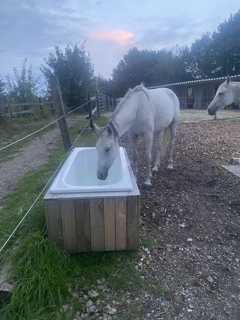 Holzverkleidung für Badewanne, Tränke für paddock, DIY DIY, Klaudia, Stabilne maty, Velbert, Image 6
