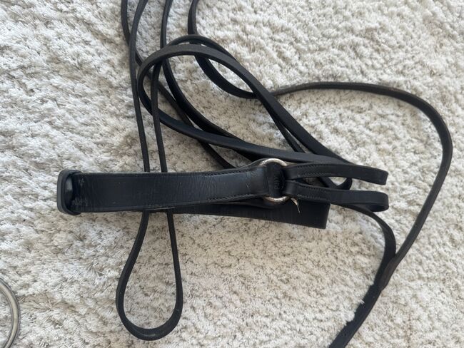 Dreieckszügel, HKM ? Dreieckszügel , Tamara, Lunging, Braunschweig