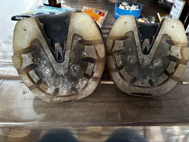 Floating Boots M 3, Floating Boots Trainer, Barbara Schlor, Hoof Boots & Therapy Boots, Rohrdorf, Image 2