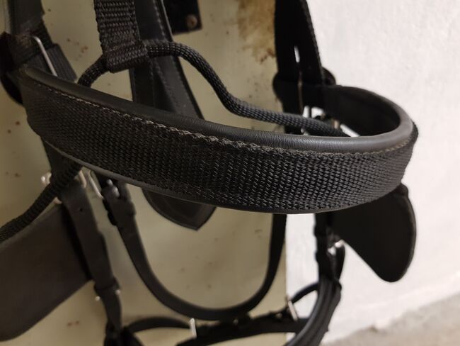 Fahrzaum Kaltblut, Tanja Künstner , Horse Harness, Sassenberg 