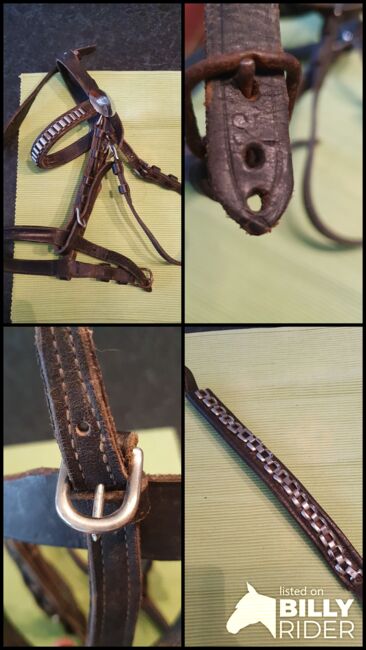 Fahrkopfstück kopfstück, Heike, Horse Harness, Körle, Image 5