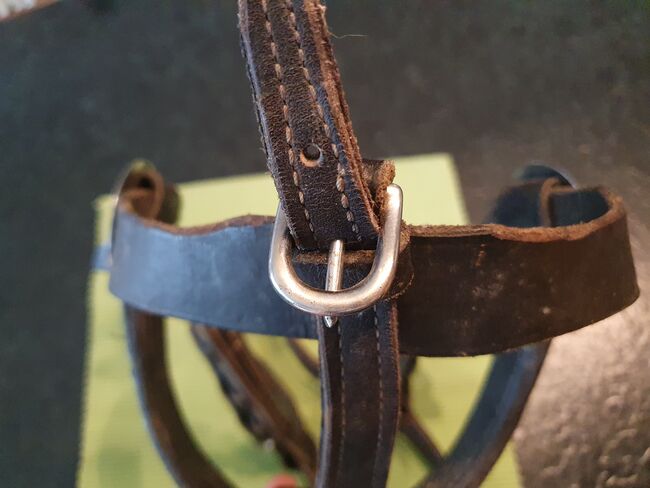 Fahrkopfstück kopfstück, Heike, Horse Harness, Körle, Image 3
