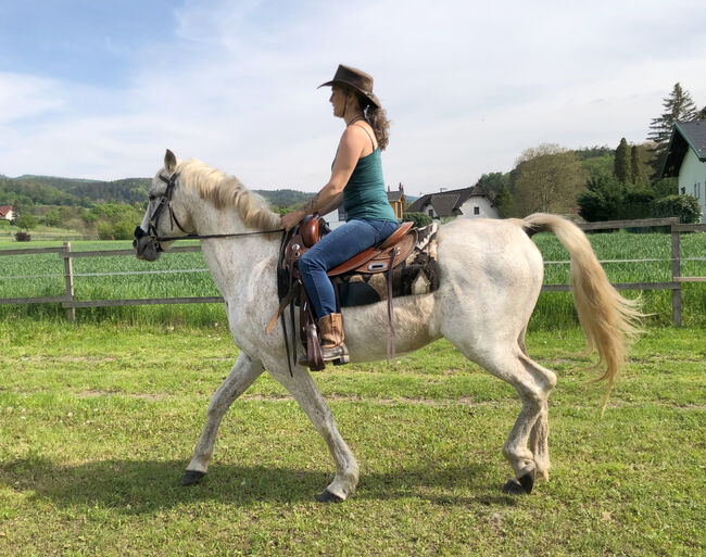 Traumpferd PRE, Mary, Horses For Sale, Lanzenkirchen, Image 4