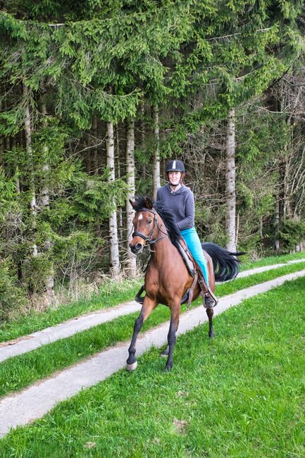 Traumstute mit Charakter, Stefanie Schindler, Horses For Sale, Obertrum am See, Image 11