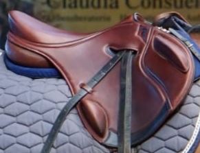 DT Sattel ideal für runde Pferde, DT Saddlery  Sandra , Vivien Schickinger, Jumping Saddle, Großsorheim