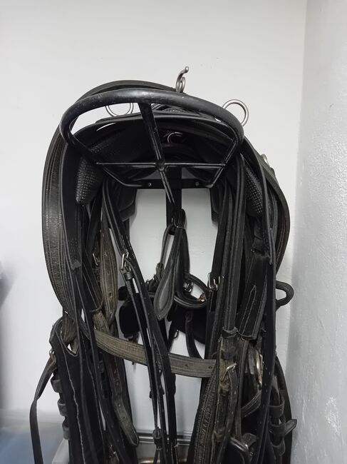 Zweispänner Geschirr von Ideal, Größe Cob, Ideal Zweispänner, Andrea Kannegießer , Horse Harness, Sankt Augustin , Image 5