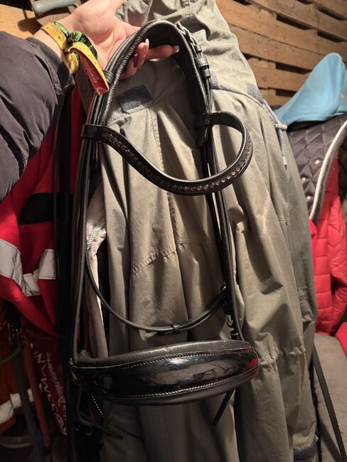 Kandarenzaum Genf Gr.Vollblut, Sarah , Bridles & Headstalls, Übach-Palenberg