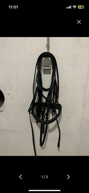 Kandare Zauberpferde WB, Zauberpferde/ Brisque, Jasmin, Bridles & Headstalls, Leonding
