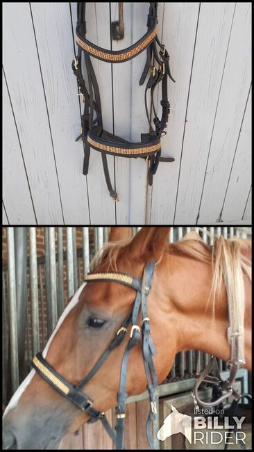 Kandare Pony, my Filou, Nane, Bridles & Headstalls, Eydelstedt, Image 3