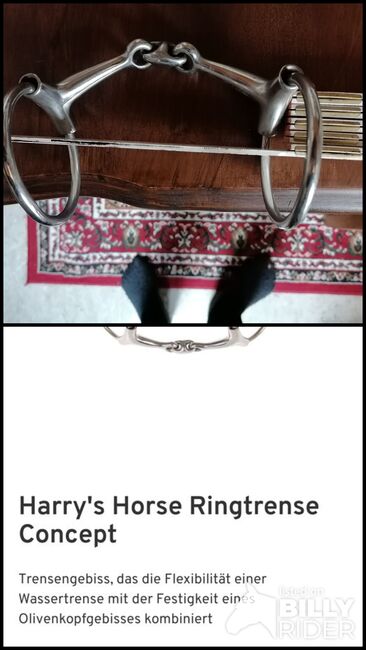 Doppeltgebrochene Ringtrense "Concept", Harry's Horse  Ringtrense Concept, Stefanie Ziegler , Horse Bits, Crailsheim , Image 3