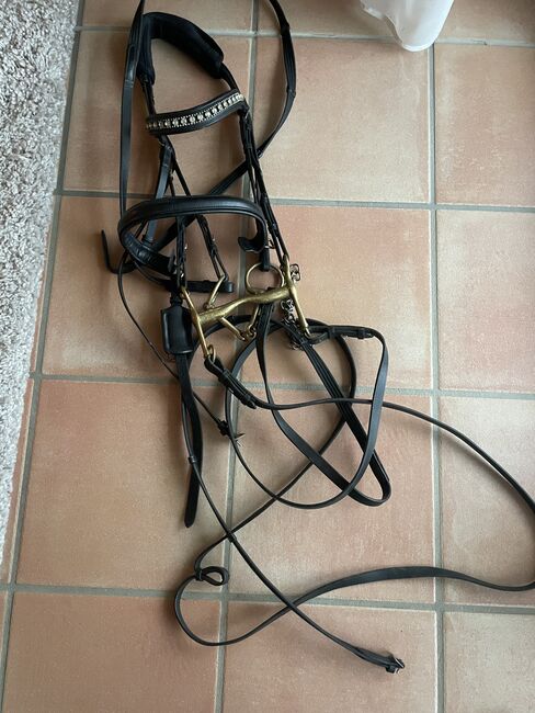 Kandare für Warmblut mit Gebiss, Nicole, Bridles & Headstalls, Bovenden