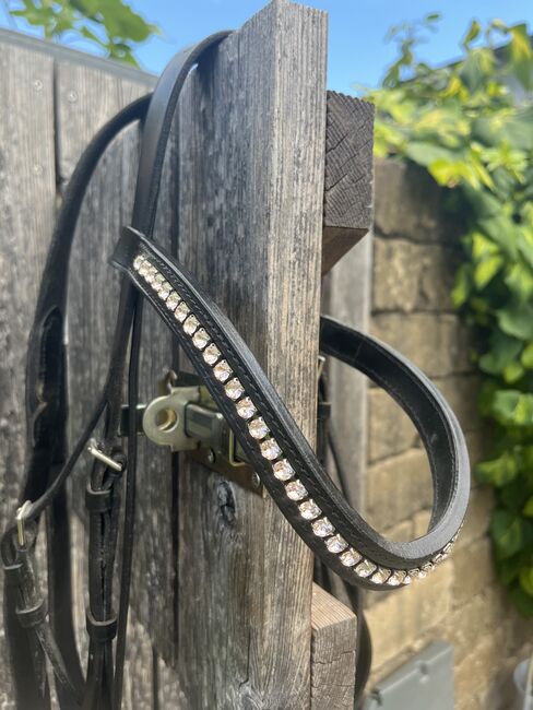 Kandarenzaum, Brigitte Krassnig, Nosebands, Lauterach, Image 2
