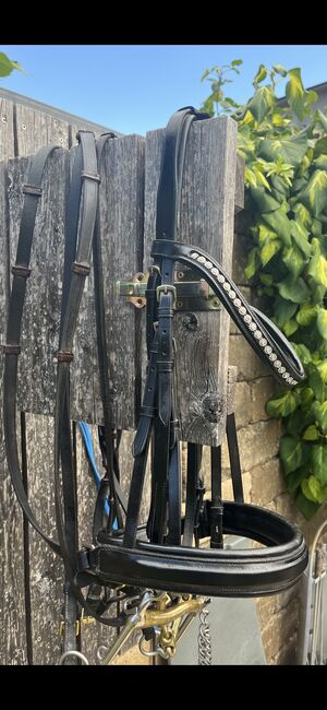 Kandarenzaum, Brigitte Krassnig, Nosebands, Lauterach