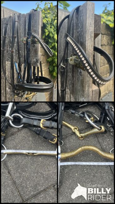 Kandarenzaum, Brigitte Krassnig, Nosebands, Lauterach, Image 5