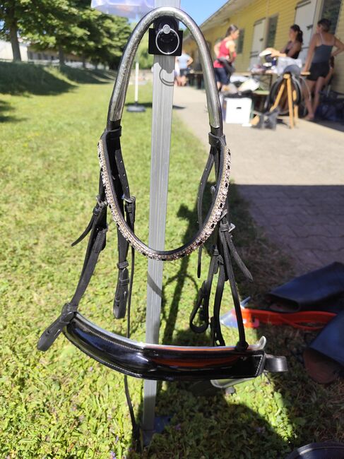 Kandarenzaum und Trensenzaum, Jennifer, Bridles & Headstalls, Kämpfelbach