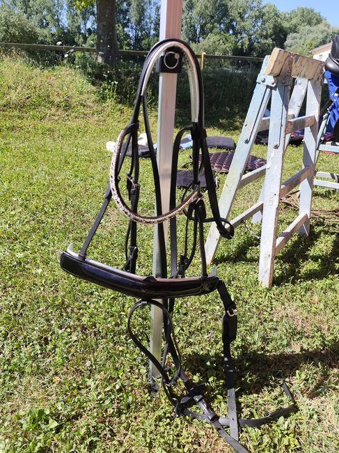 Kandarenzaum und Trensenzaum, Jennifer, Bridles & Headstalls, Kämpfelbach, Image 2