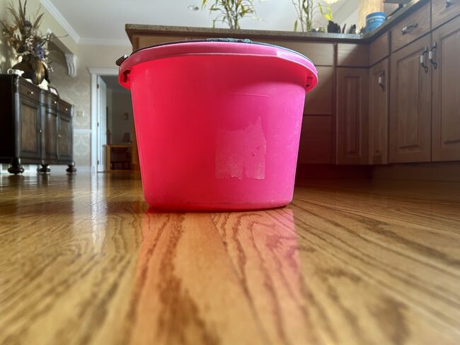 Dura Flex Buckets, Dura Flex- 4 Buckets , Stephanie, Buckets, Feeders & Waterers, Edmonton , Image 6
