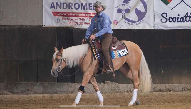 Großrahmige, gut gerittene Paint Horse Stute, Kerstin Rehbehn (Pferdemarketing Ost), Konie na sprzedaż, Nienburg, Image 11