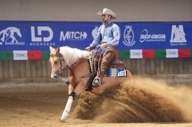 Großrahmige, gut gerittene Quarter Horse Stute, Kerstin Rehbehn (Pferdemarketing Ost), Konie na sprzedaż, Nienburg, Image 13