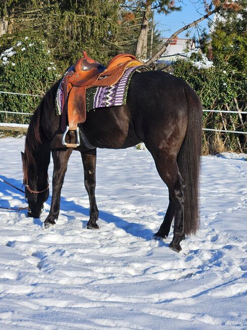 großrahmiger, bildhübscher Quarter Horse Wallach, Kerstin Rehbehn (Pferdemarketing Ost), Konie na sprzedaż, Nienburg, Image 17