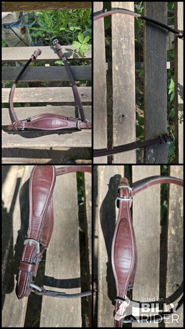 Dyon Hannoveranisches Reithalfter Drop DC, Dyon, Laura, Nosebands, Recklinghausen, Image 6