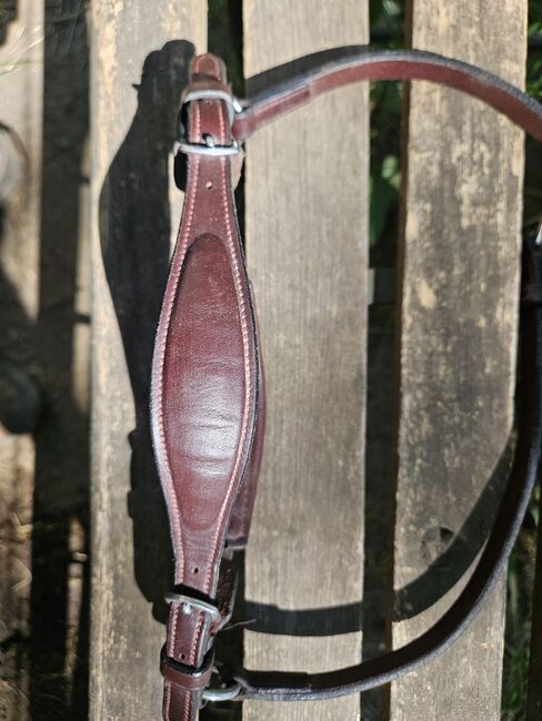 Dyon Hannoveranisches Reithalfter Drop DC, Dyon, Laura, Nosebands, Recklinghausen, Image 3