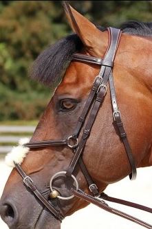 Dyon Trense mex. neu braun, Dyon , C. O'Connor, Bridles & Headstalls, Bielefeld 