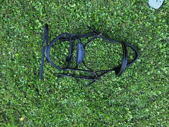 Dyon Difference Trense Zaum WB, Dyon  Difference, Dominique , Bridles & Headstalls, Salzburg
