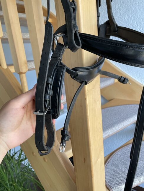 Dyon Difference Trense Therapeutic NEC schwarz COB/VB, Dyon Difference Therapeutic NEC, Mailin Glaser, Bridles & Headstalls, Dolgen am See, Image 3