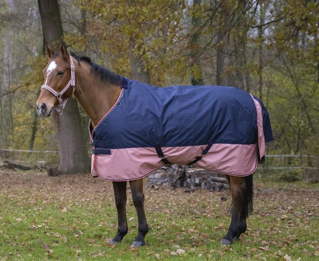 Tyrex 600 Weidedecke 155cm Outdoordecke Regendecke, Equitheme Tyrex 600, Moni, Derki dla konia, Attenkirchen