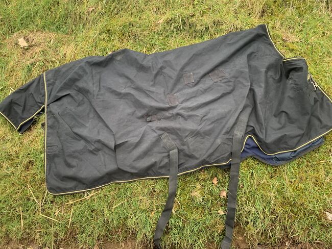 Horseware Outdoordecke 165 cm, Horseware By Felix Bühler, Ann-Kathrin Hoppe, Derki dla konia, Schwalbach, Image 5