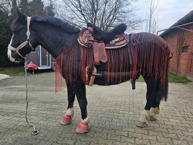 Fransendecke Ausreitdecke Fliegendecke Maßanfertigung, Annika, Derki dla konia, Gelsenkirchen