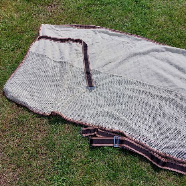 KAVALKADE Fliegendecke mit Bauchgurten Größe 165cm Deckentasche Transportdecke, Kavalkade Fliegendecke , Nicole , Ochrona koni przed owadami , Norderstedt, Image 4