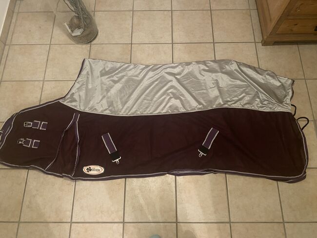 Fliegendecke mit Mash Einsatz oben, Irish Innovation , Celine, Derki dla konia, Drensteinfurt