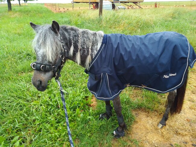 Regendecke shetlandpony 85 cm, Horst friends Mit Gehalte und Schweiflatz. Ungefüttert. Besonders für schlanke zarte Ponies geeignet , N. Dörflinger , Derki dla konia, Deckenpfronn 