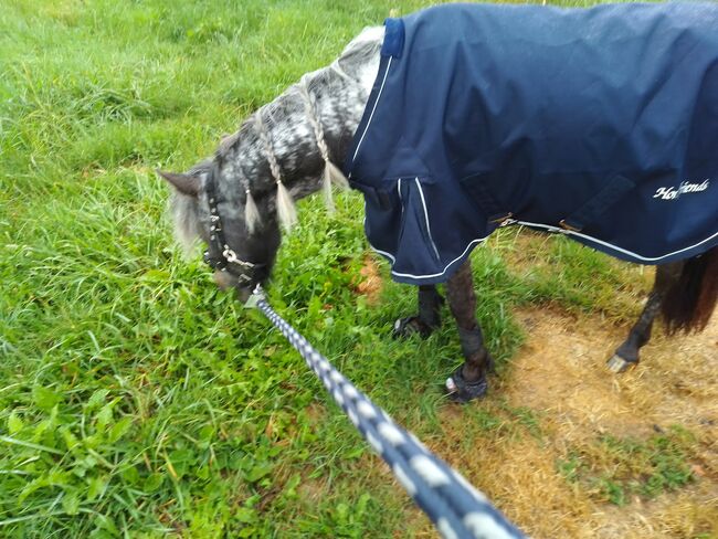 Regendecke shetlandpony 85 cm, Horst friends Mit Gehalte und Schweiflatz. Ungefüttert. Besonders für schlanke zarte Ponies geeignet , N. Dörflinger , Derki dla konia, Deckenpfronn , Image 3