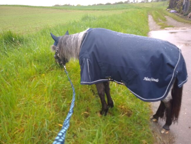 Regendecke shetlandpony 85 cm, Horst friends Mit Gehalte und Schweiflatz. Ungefüttert. Besonders für schlanke zarte Ponies geeignet , N. Dörflinger , Derki dla konia, Deckenpfronn , Image 4