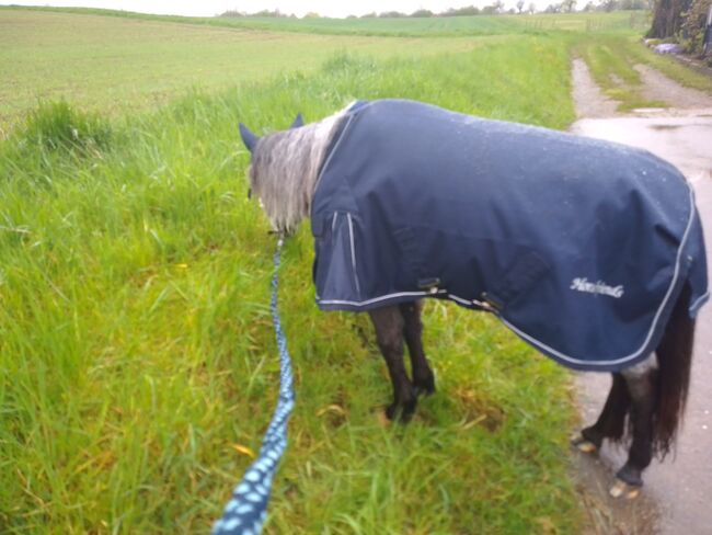 Regendecke shetlandpony 85 cm, Horst friends Mit Gehalte und Schweiflatz. Ungefüttert. Besonders für schlanke zarte Ponies geeignet , N. Dörflinger , Derki dla konia, Deckenpfronn , Image 5