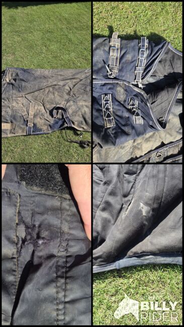 Outdoordecke 200g 155 cm inkl. Halsteil, Waldhausen , Nicole , Derki dla konia, Neukirchen-Vluyn, Image 9