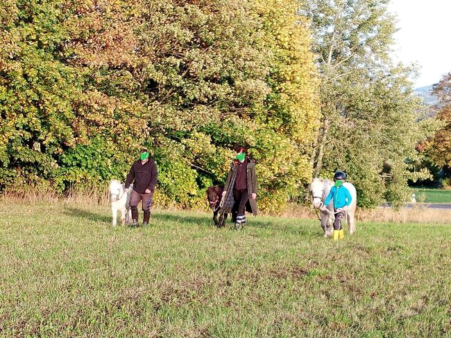 Pflegebeteiligung auf Ponys, Tanja Hochhaus , Horse Sharing
, Schwarzenberg, Image 6