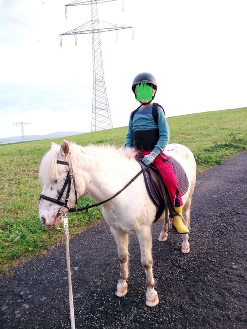 Pflegebeteiligung auf Ponys, Tanja Hochhaus , Horse Sharing
, Schwarzenberg, Image 5