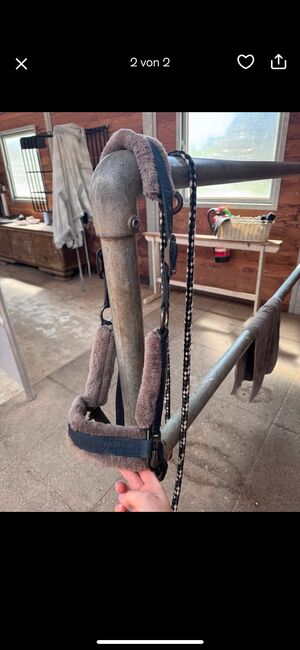 Eakadron Halfter, Eskadron, Sk, Halters, Landshut , Image 2