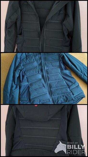 East Jacke Performance Insulation, East Performance Insulation , DAB, Riding Jackets, Coats & Vests, Rüttenen, Image 4