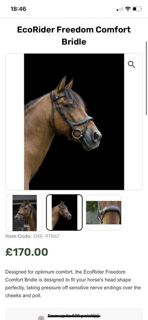 Ecorider freedom comfort bridle, Ecorider  Freedom comfort bridle , Alicia cox , Bridles & Headstalls, Canterbury , Image 2