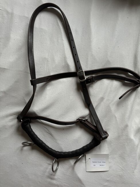 Kappzaum Ecuyer, EquiArt Kappzaum, Marlene Haiden, Bitless Bridles, Pyhra