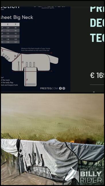Ekzemerdecke/Fliegendecke Presteq Smart Protection 165 cm, Presteq Presteq Smart Protection Big Neck 165 cm, Inka Bennemann, Horse Blankets, Sheets & Coolers, Handewitt, Image 3